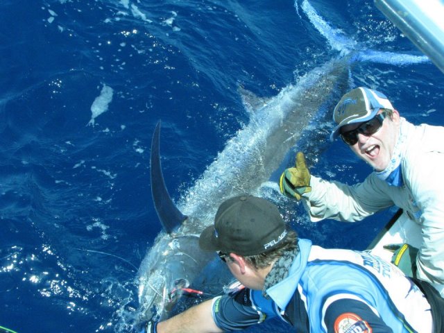 Our 1st Black Marlin Fishing Fishwrecked Fishing WA Fishing